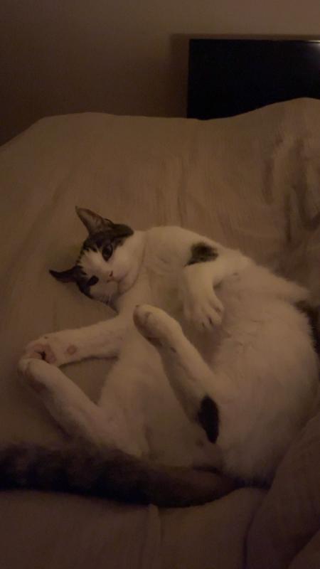 Dexter