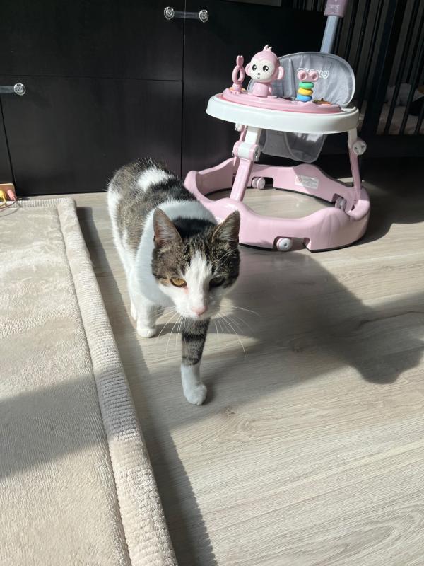 Dexter