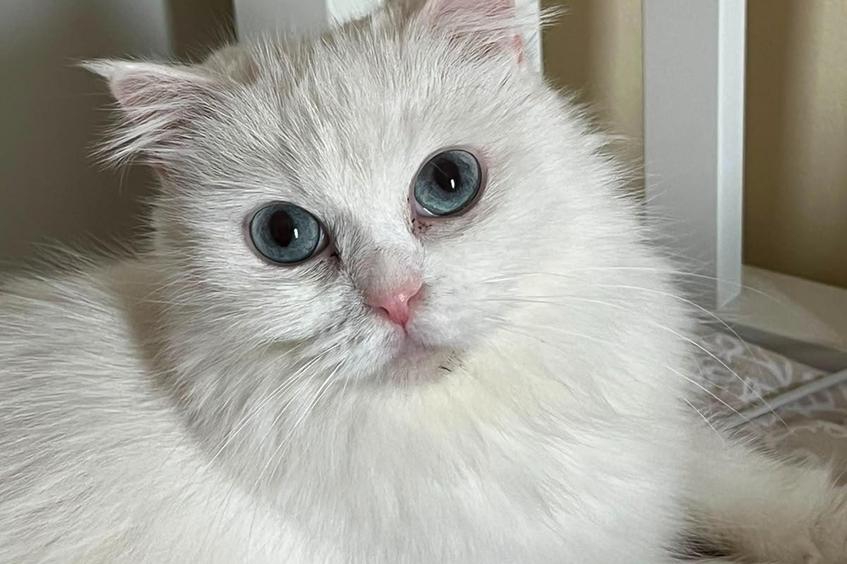 Cloud