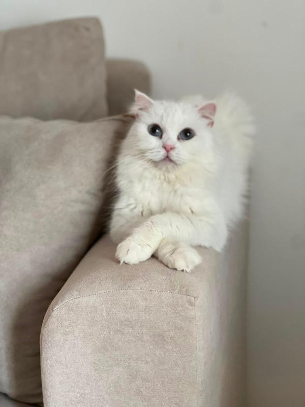 Cloud