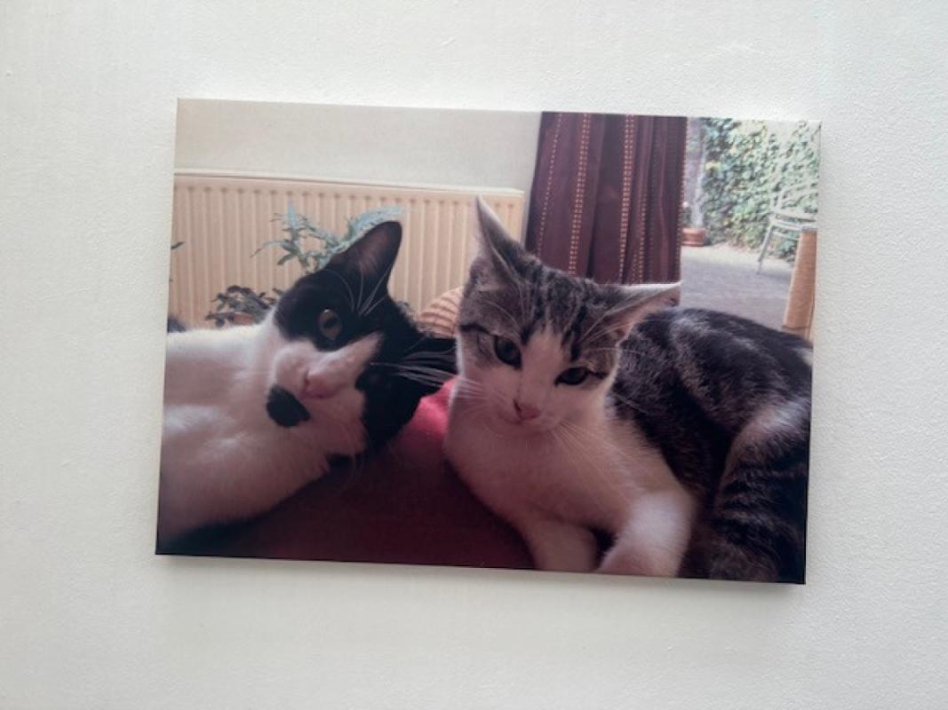 Juup ("Joep")