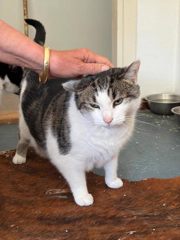Juup ("Joep")