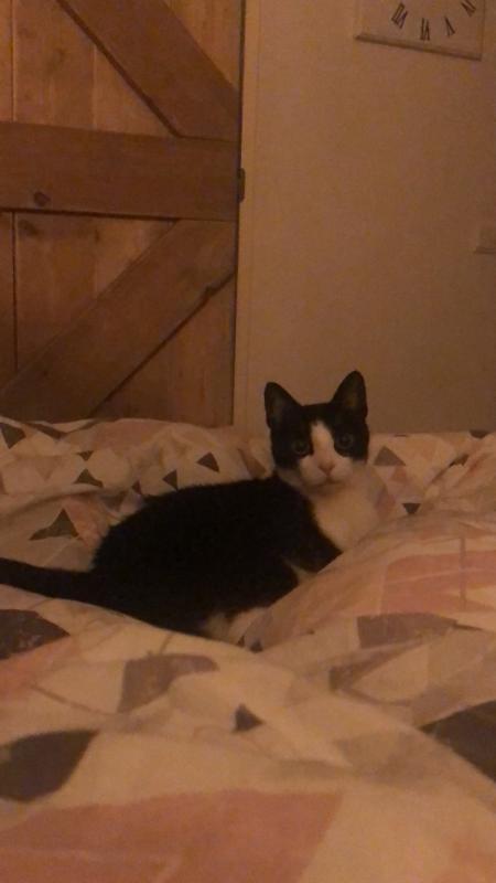 Luna