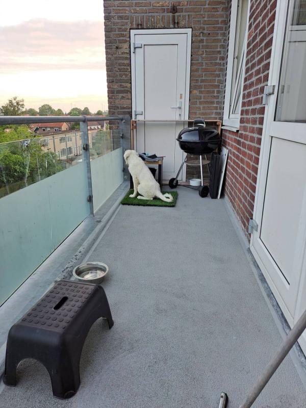 Keesje
