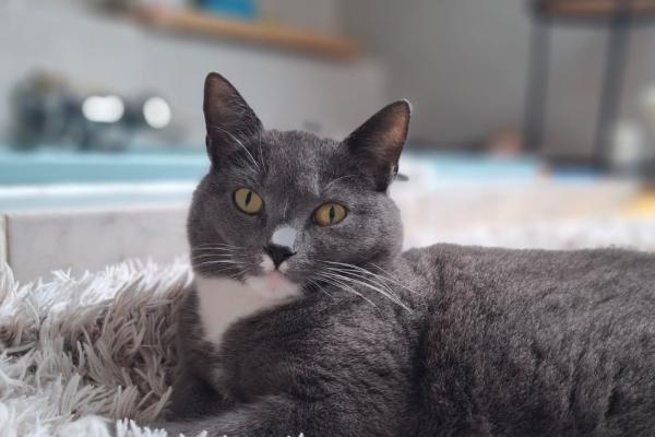 Lilou