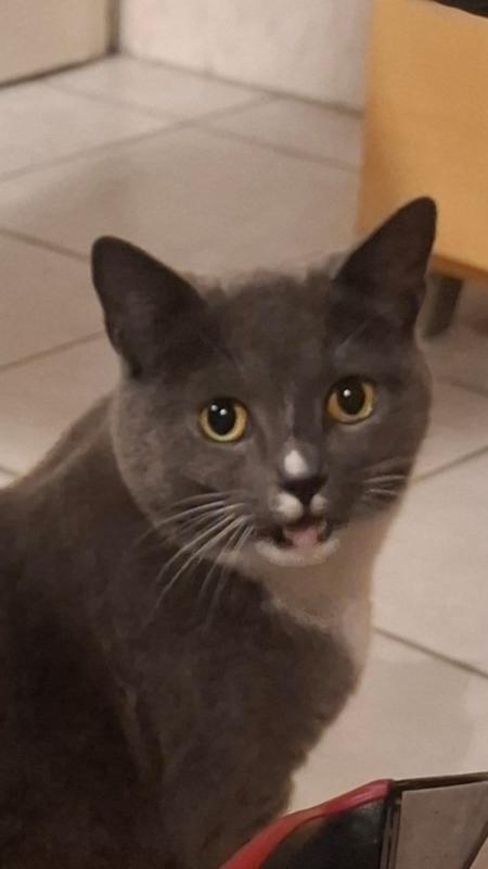Lilou