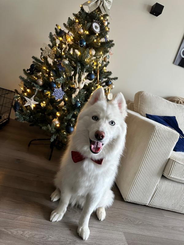 Skaya