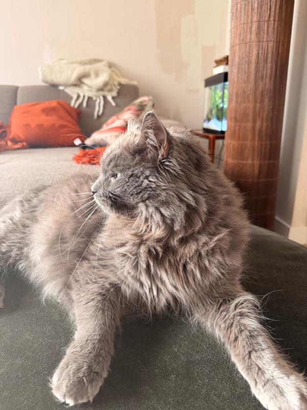 Marley