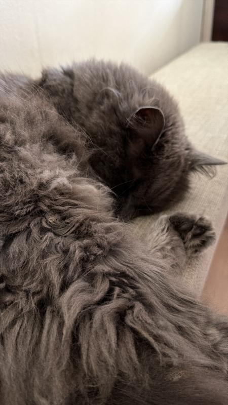 Marley