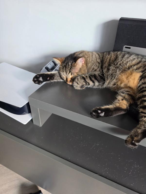 Simba