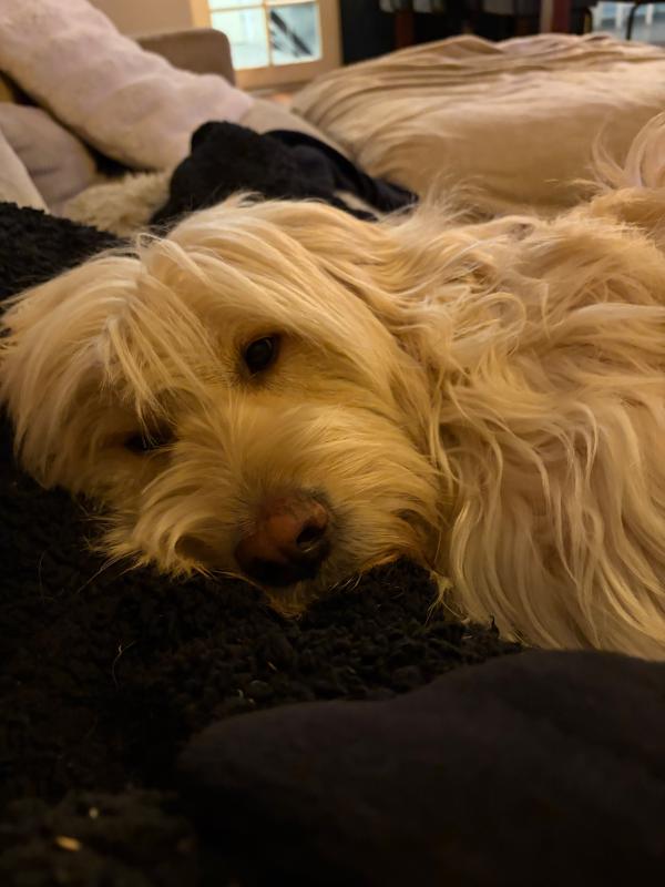 Boris
