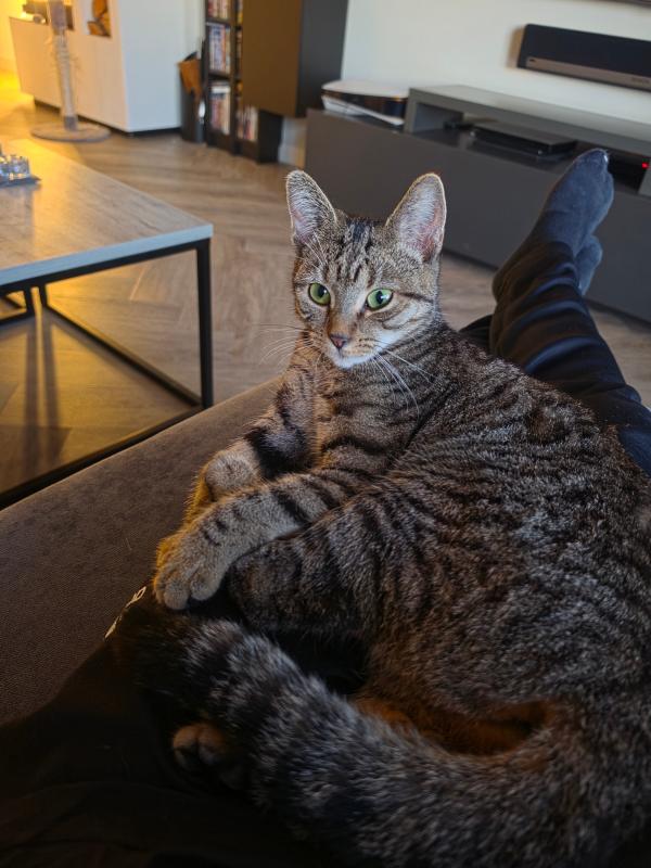Nala