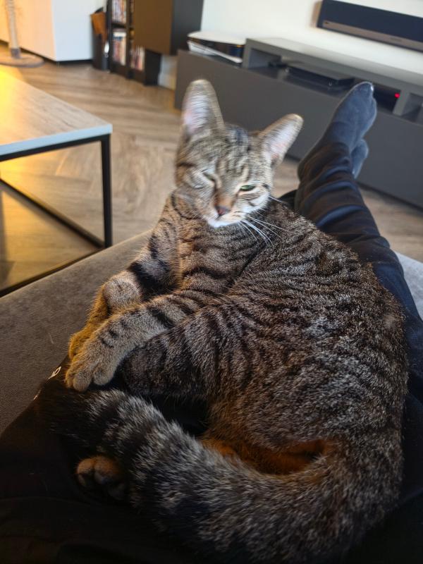 Nala