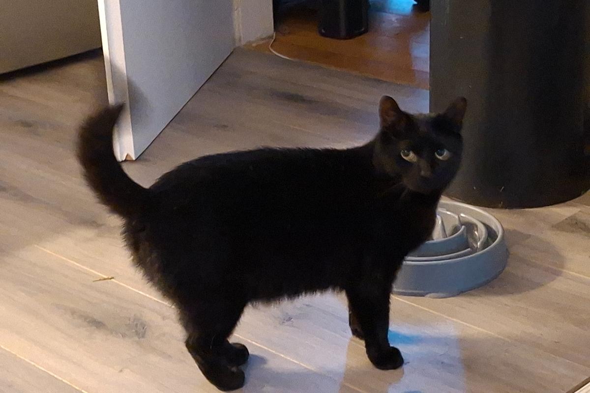 Max