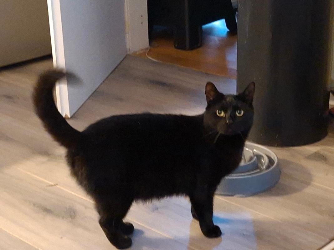 Max