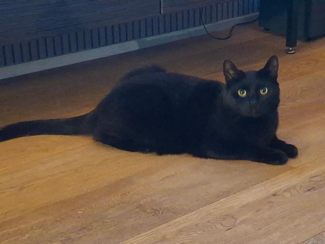 Max