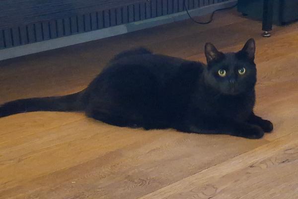 Max
