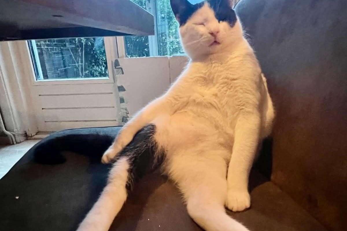 Zeno