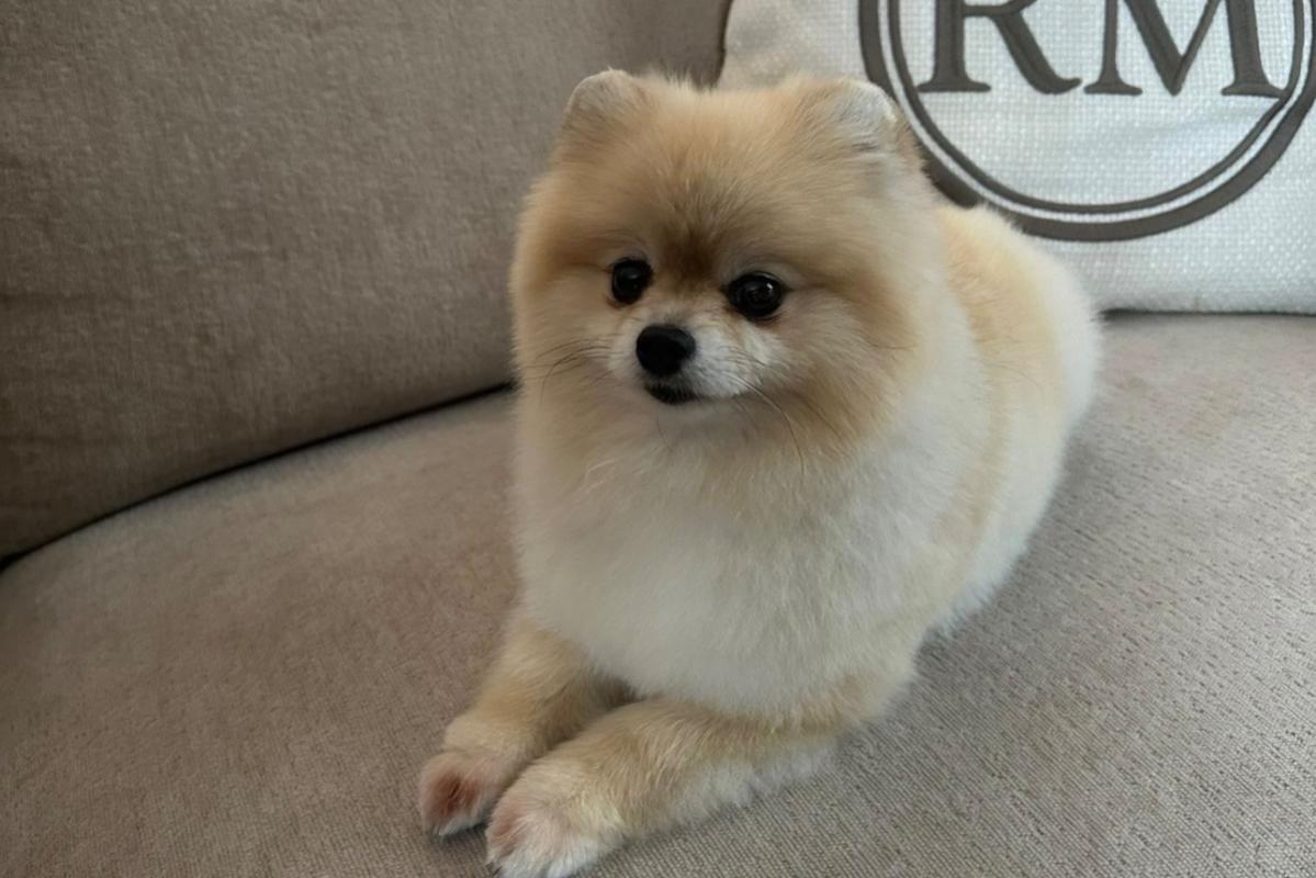 Bella