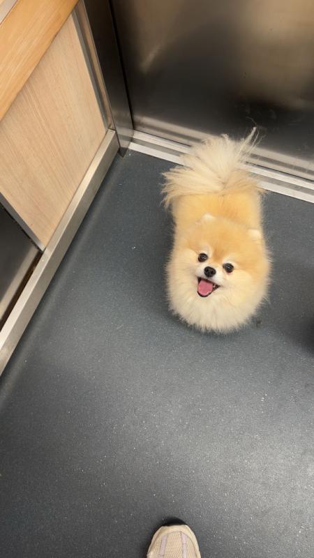 Bella