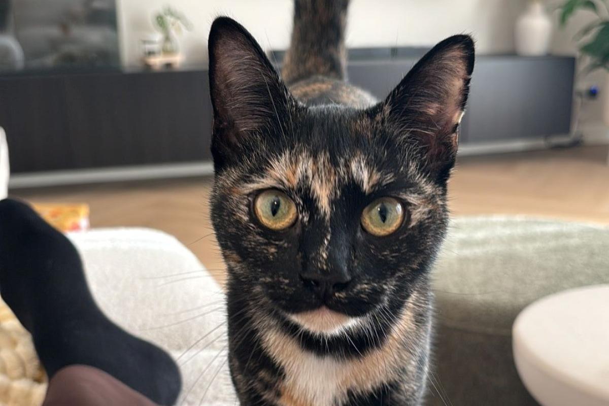 Kiki