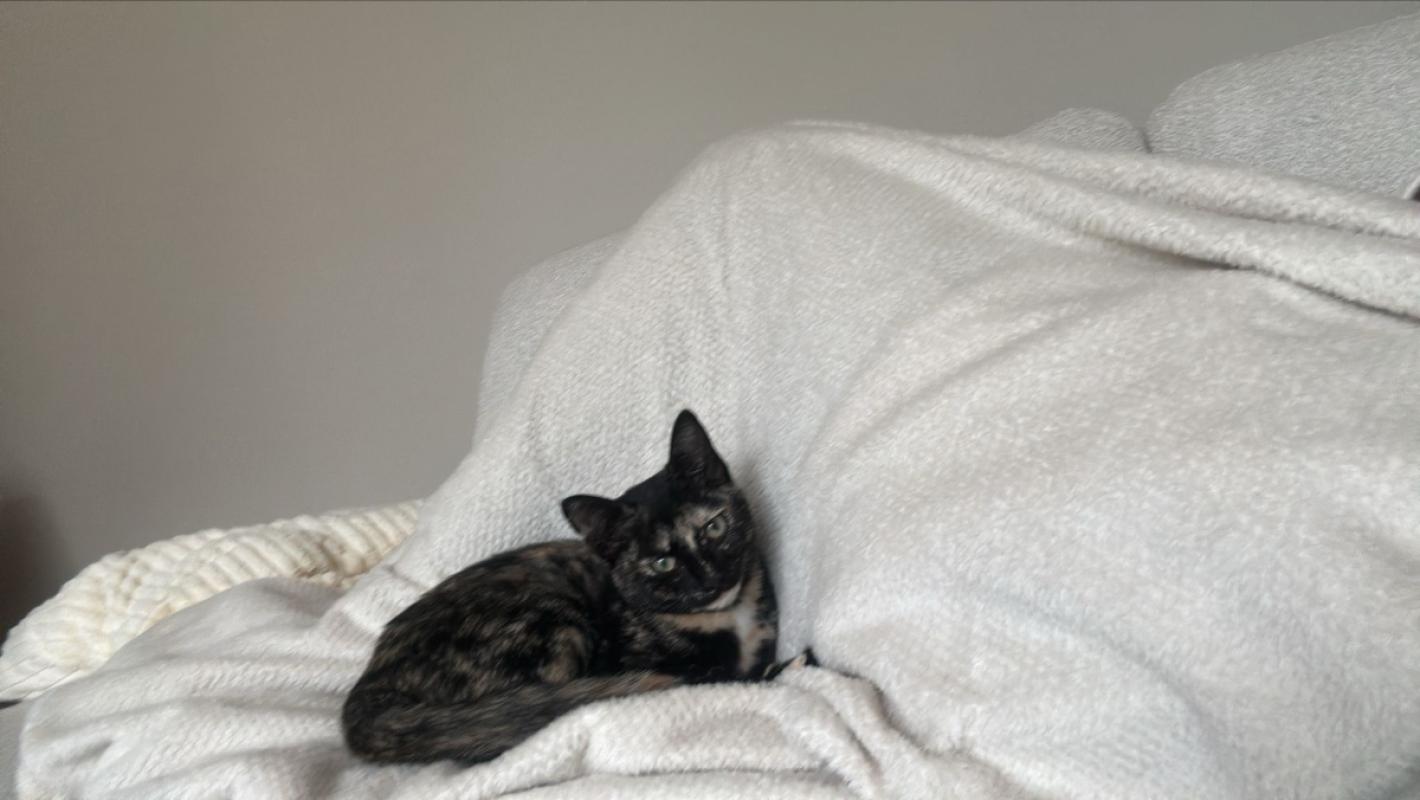 Kiki