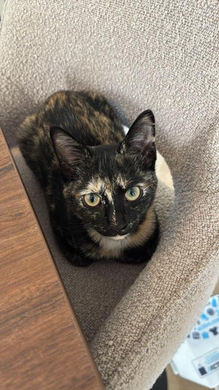 Kiki