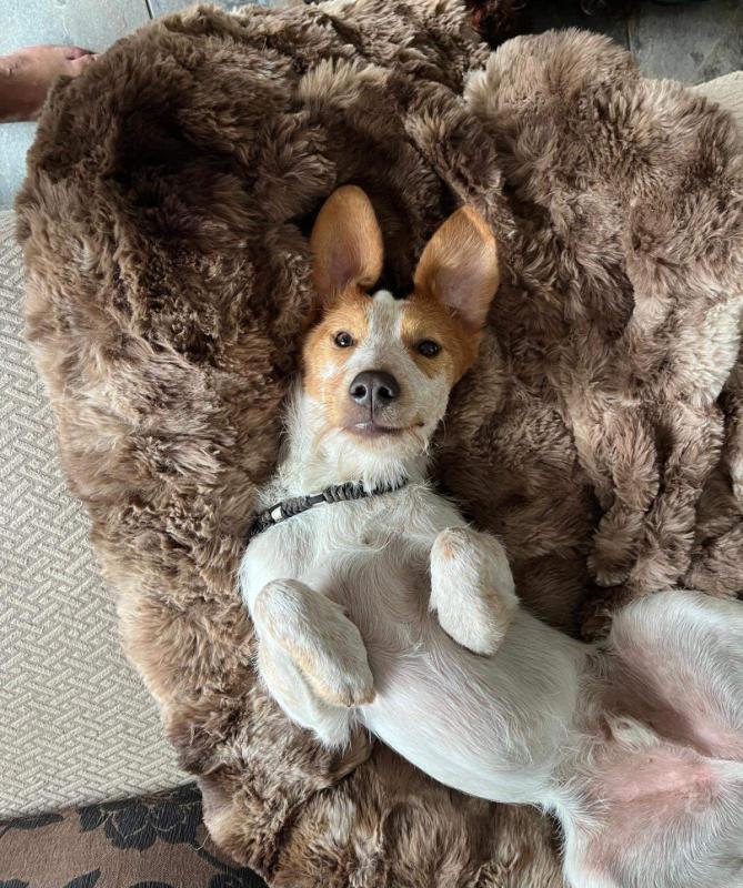 Duke