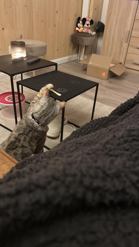 Chico