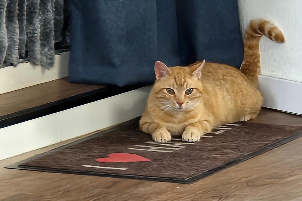 Max