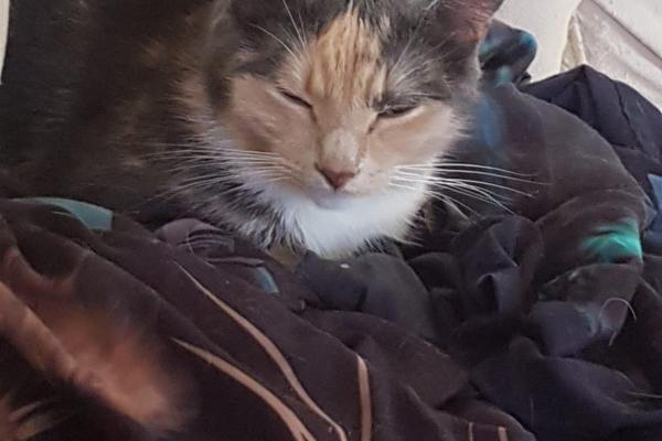 Luna