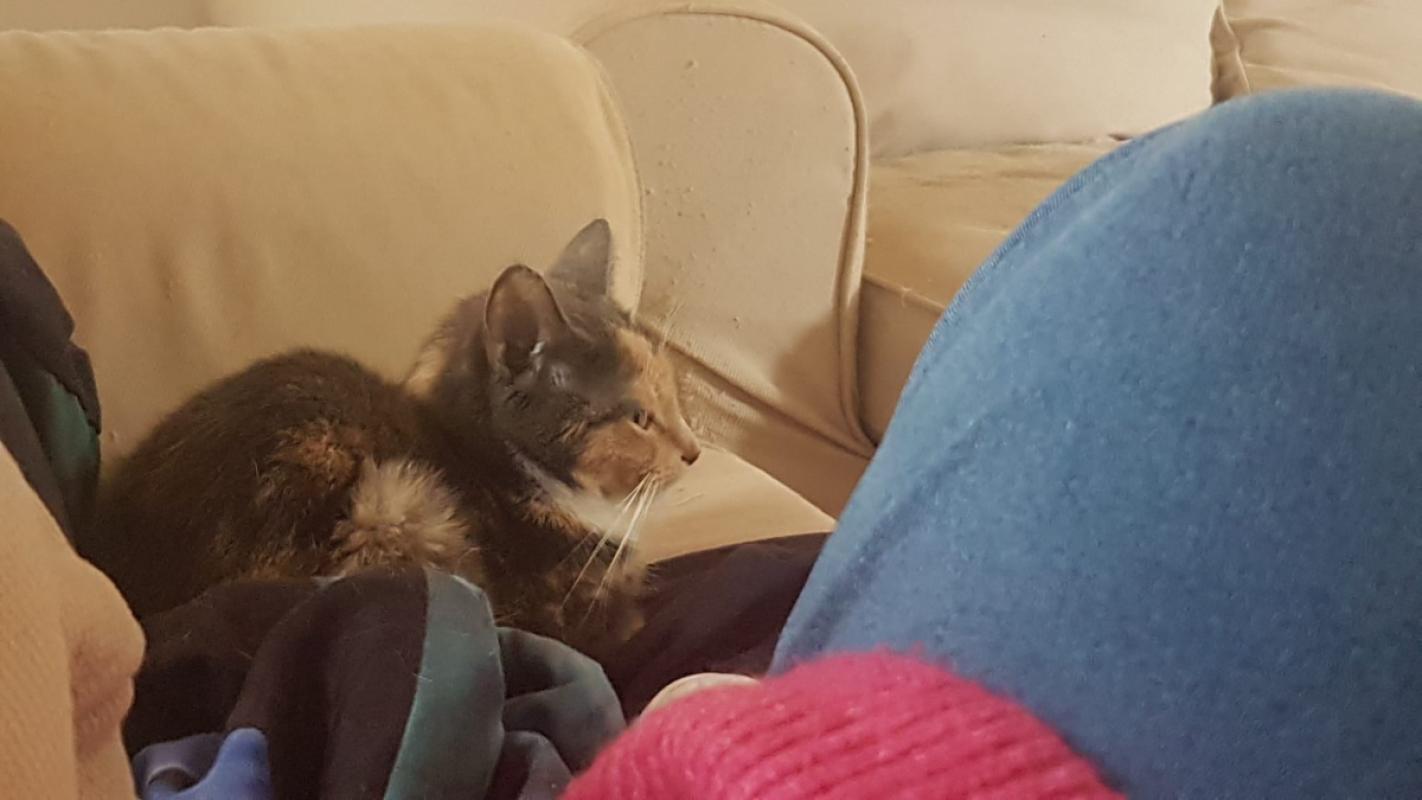 Luna