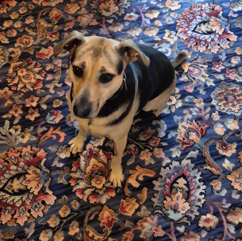Sammie