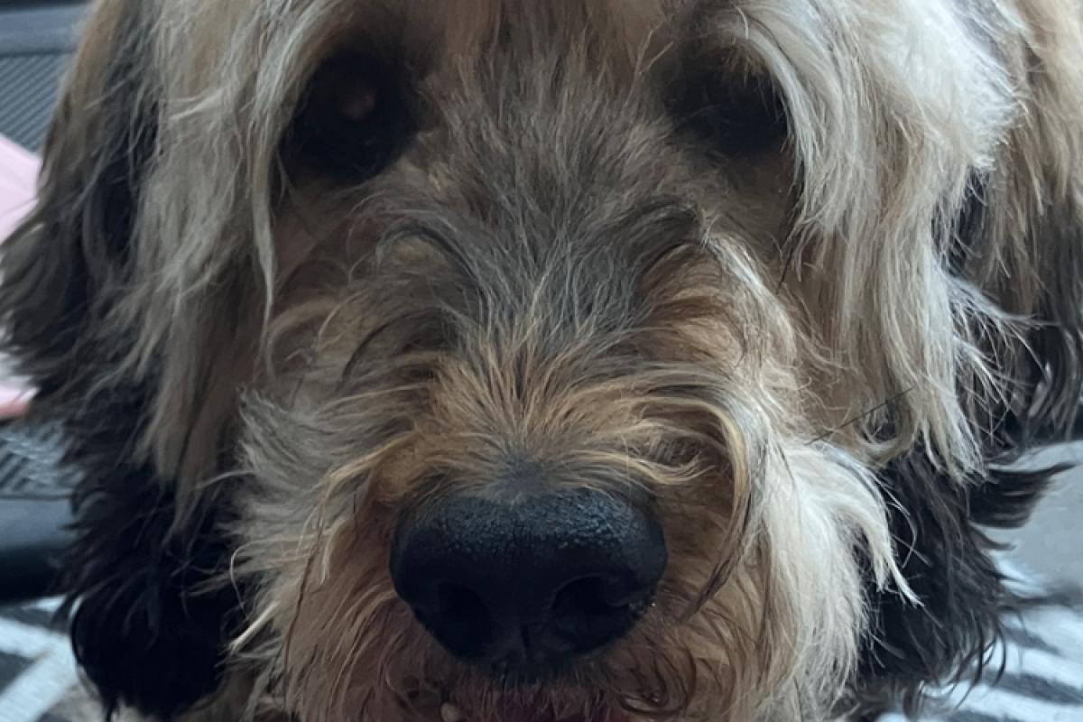 Charlie