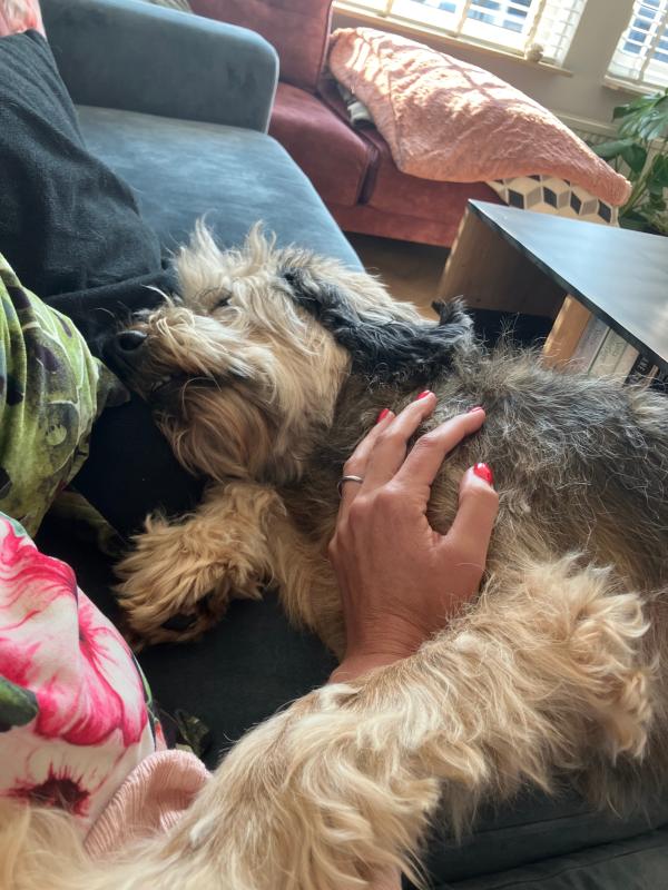 Charlie