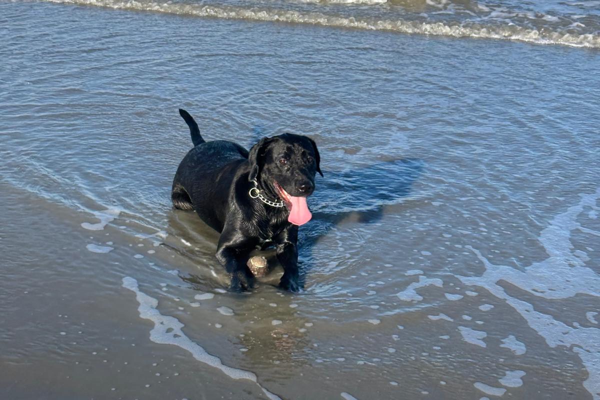 Max