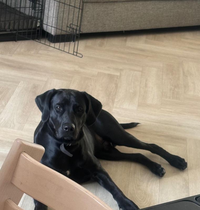Max
