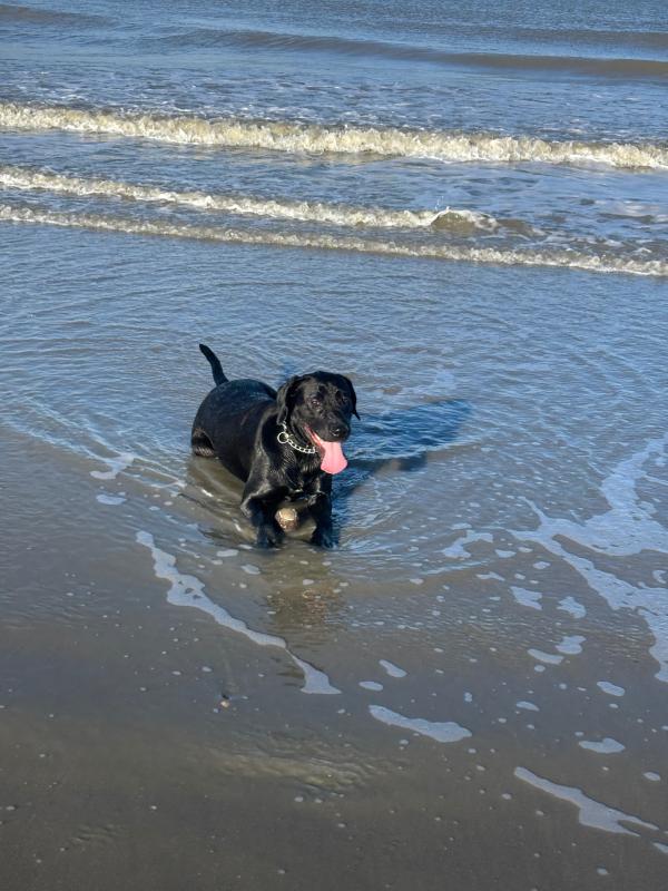 Max