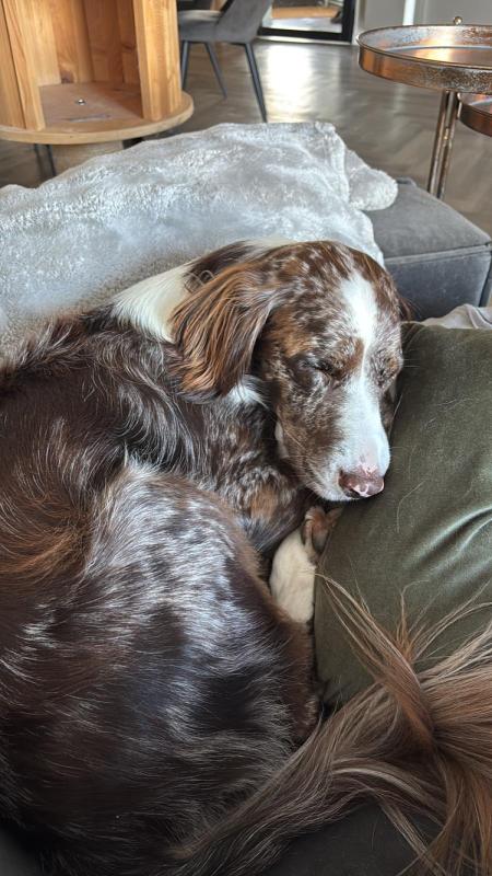 Sophie