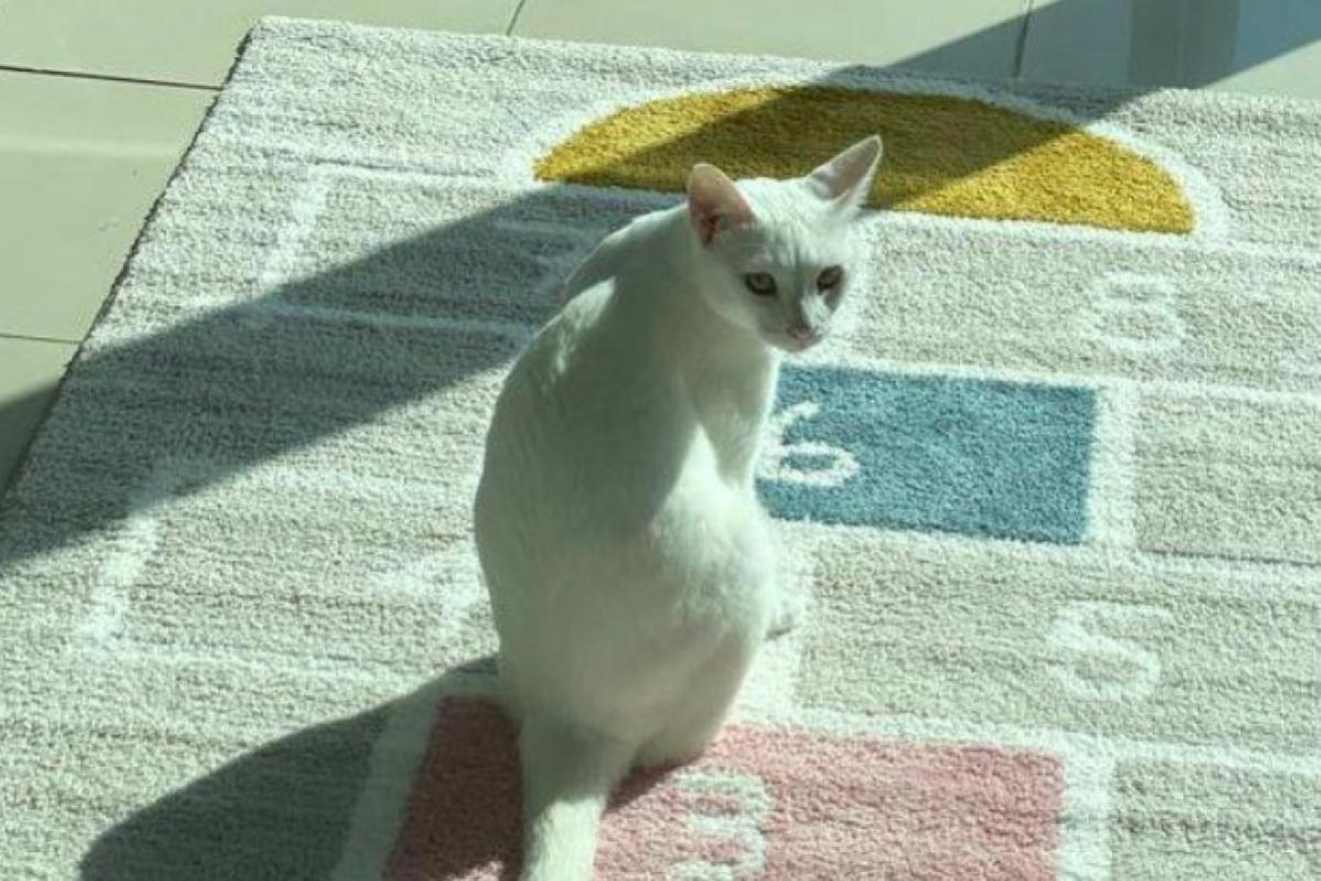 Fiona