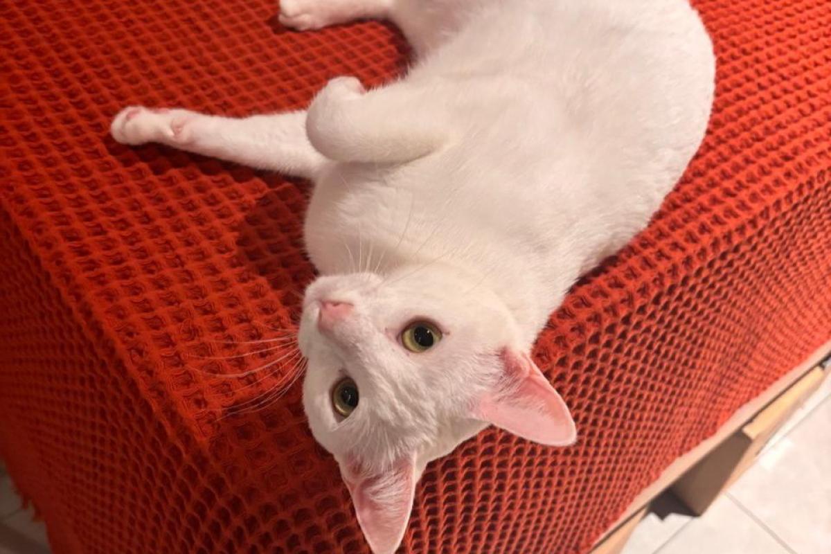 Fiona