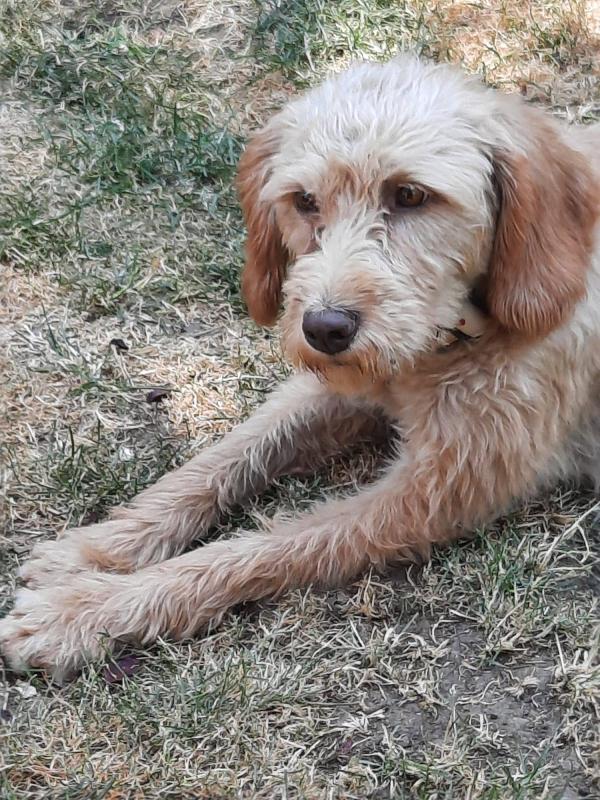 Nell