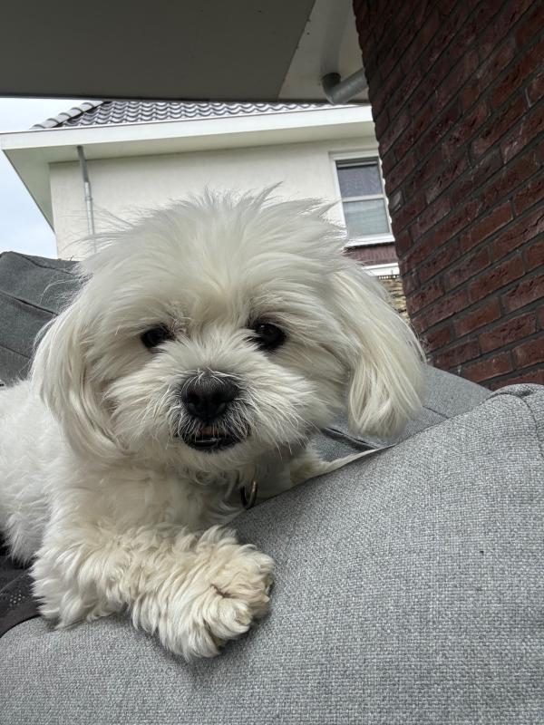 Hugo