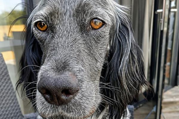 Molly