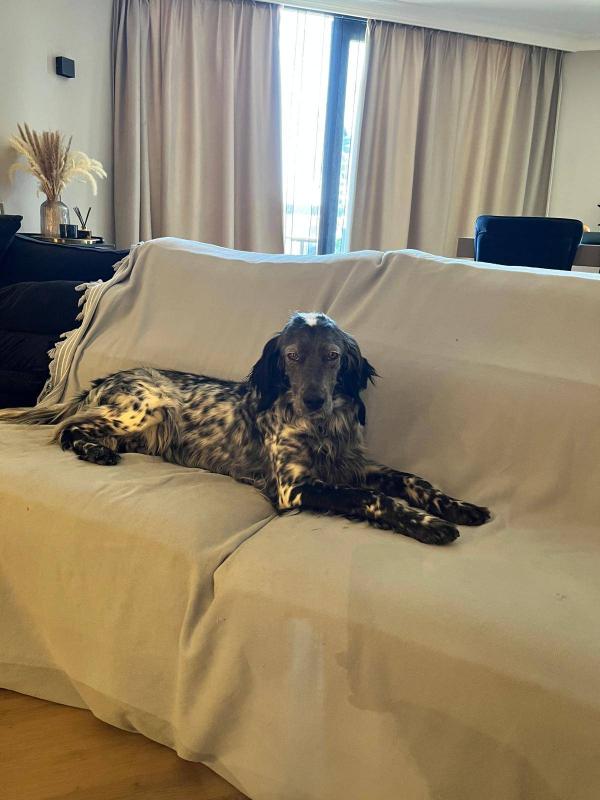 Molly