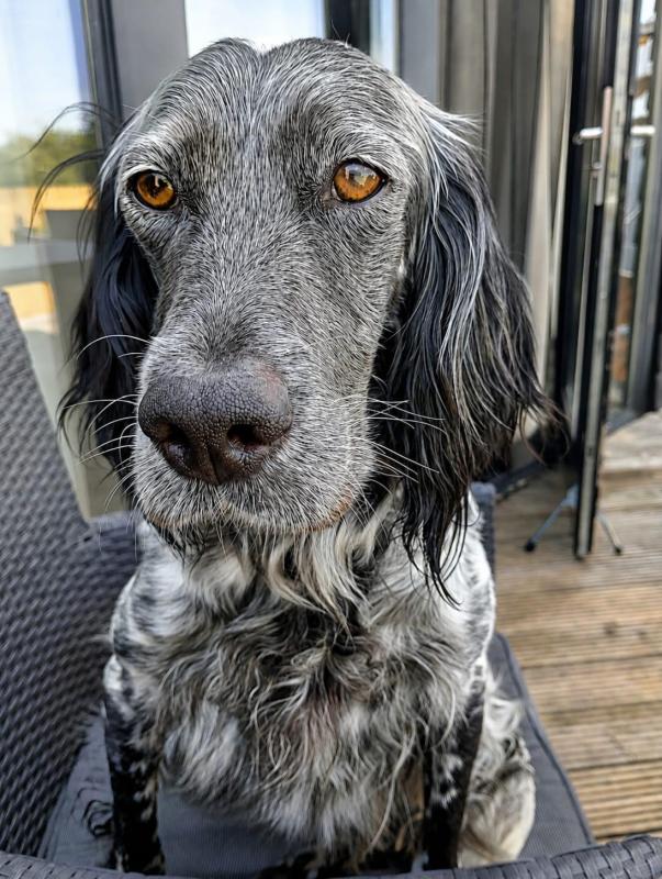 Molly