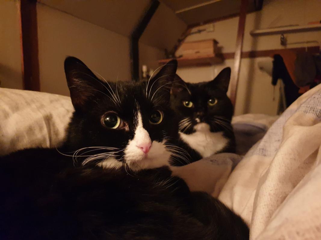 Sozi