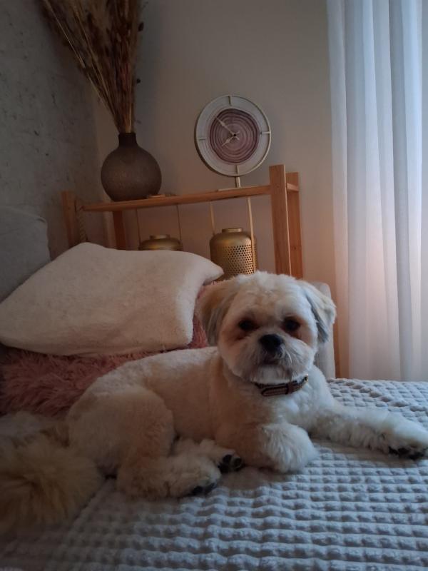 Charlie