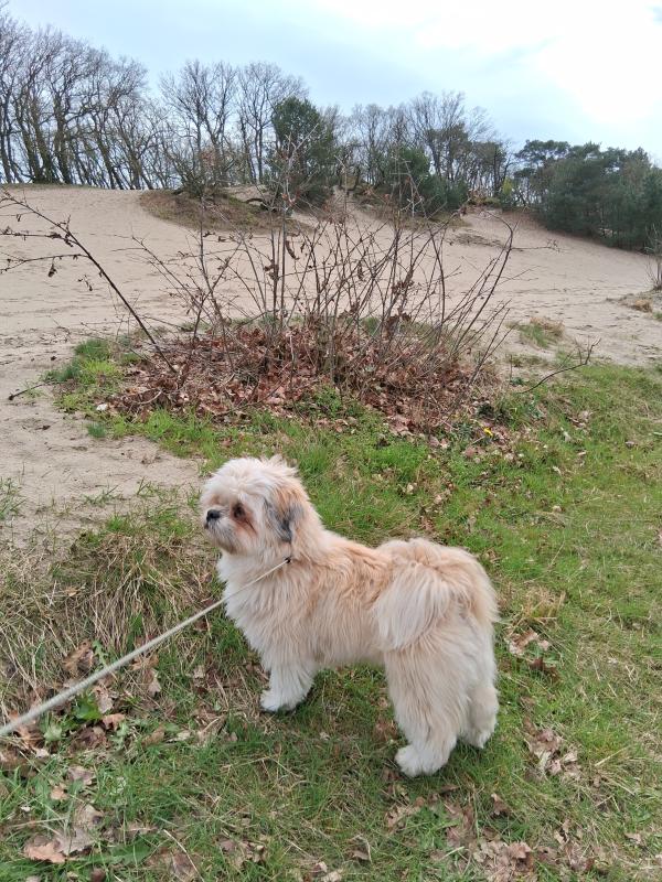 Charlie
