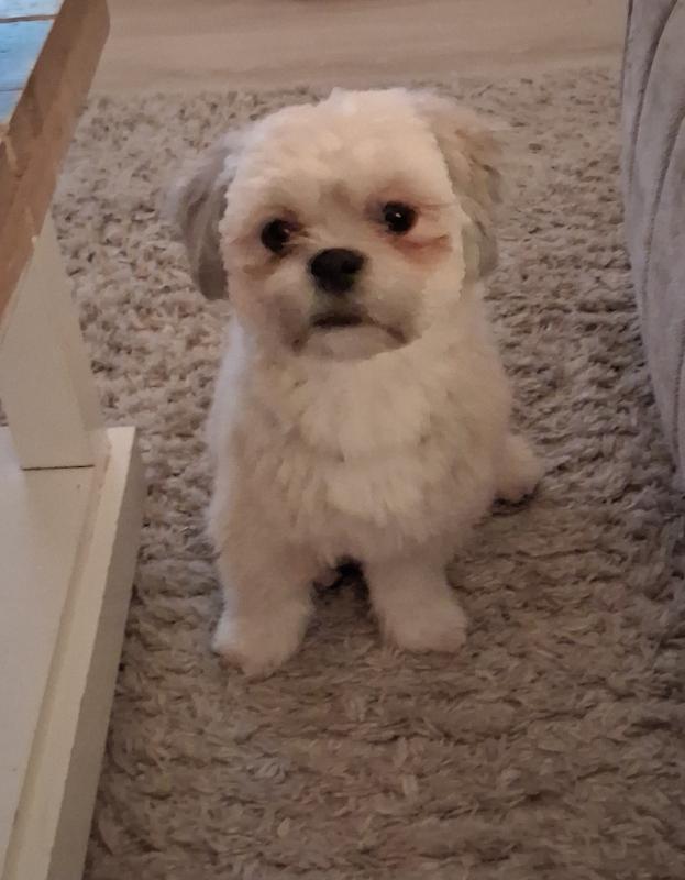 Charlie
